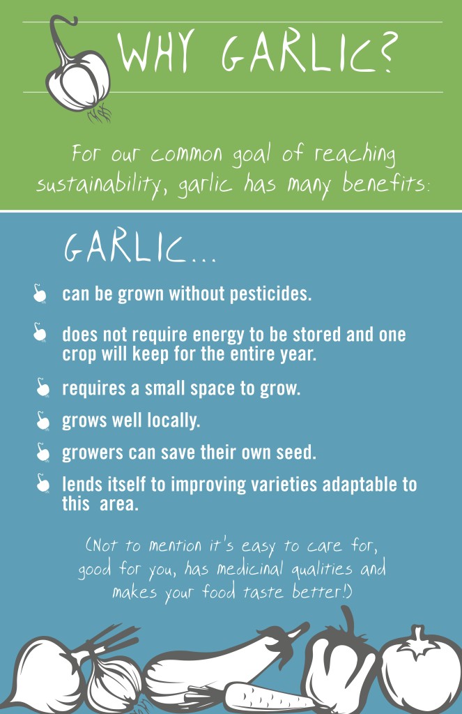 garlic.project